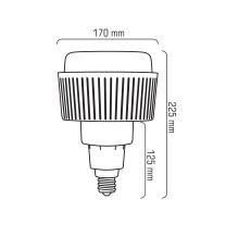 T170-AP E27 80W 230V 96x2835 LED CCD NW