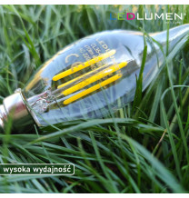 Żarówka LED CL35-G E14 230V 6W FILAMENT 806lm biała neutralna